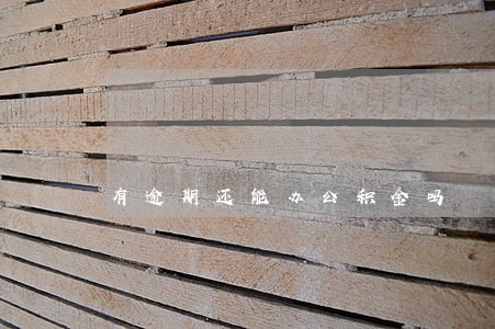 有逾期还能办公积金吗 有逾期还能办公积金吗