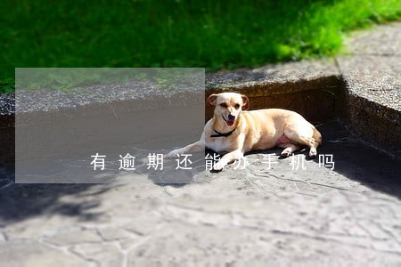 有逾期还能办手机吗 有逾期还能办手机吗