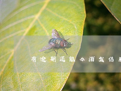 有逾期还能办浦发信用卡吗 有逾期还能办浦发信用卡吗