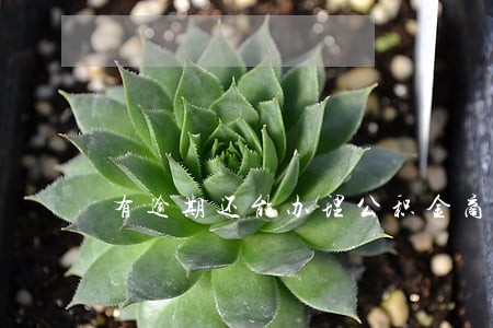 有逾期还能办理公积金商贷 有逾期还能办理公积金商贷