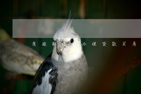 有逾期还能办理贷款买房吗 有逾期还能办理贷款买房吗