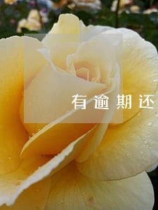 有逾期还能办美国签证么