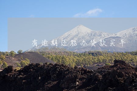 有逾期还能办贷款买车