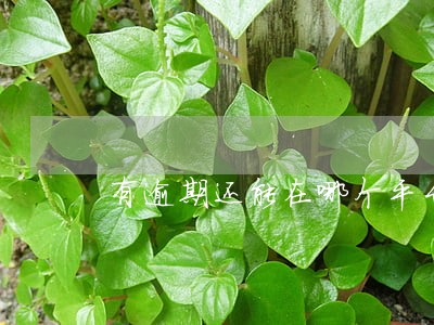 有逾期还能在哪个平台借到钱 有逾期还能在哪个平台借到钱
