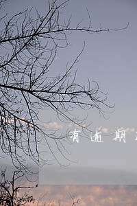 有逾期还能在哪贷小额贷款 有逾期还能在哪贷小额贷款