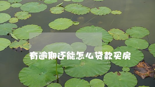 有逾期还能怎么贷款买房 有逾期还能怎么贷款买房