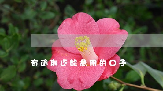 有逾期还能急用的口子 有逾期还能急用的口子