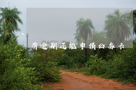 有逾期还能申请公务卡 有逾期还能申请公务卡