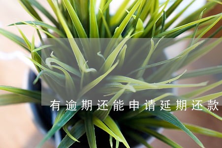 有逾期还能申请延期还款吗 有逾期还能申请延期还款吗