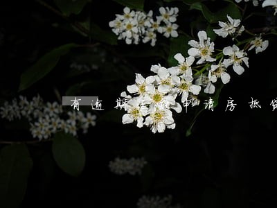 有逾期还能申请房抵贷 有逾期还能申请房抵贷