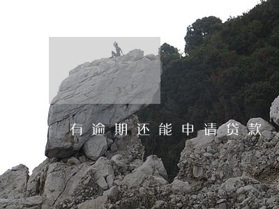 有逾期还能申请贷款 有逾期还能申请贷款