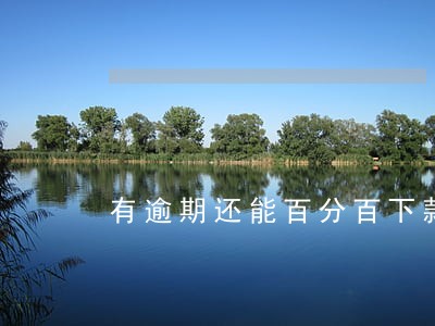 有逾期还能百分百下款的平台 有逾期还能百分百下款的平台