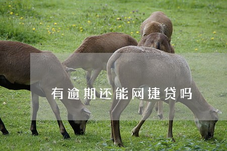 有逾期还能网捷贷吗 有逾期还能网捷贷吗