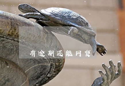 有逾期还能网贷 有逾期还能网贷
