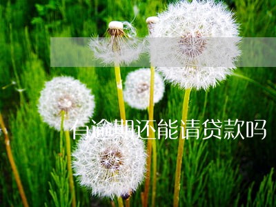 有逾期还能请贷款吗