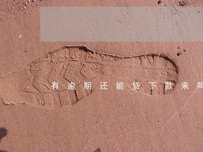 有逾期还能贷下款来吗 有逾期还能贷下款来吗