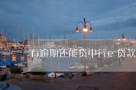 有逾期还能贷中行e贷款 有逾期还能贷中行e贷款