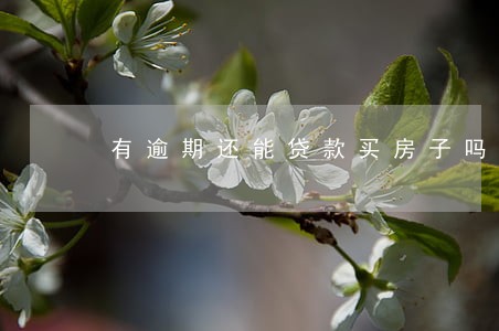 有逾期还能贷款买房子吗 有逾期还能贷款买房子吗