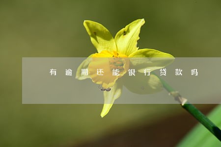 有逾期还能银行贷款吗 有逾期还能银行贷款吗