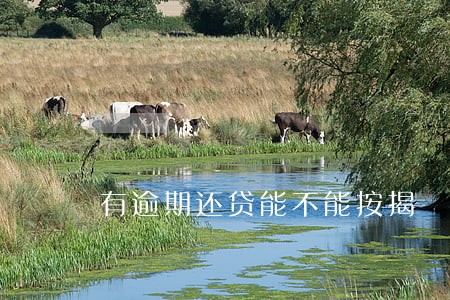 有逾期还贷能不能按揭 有逾期还贷能不能按揭