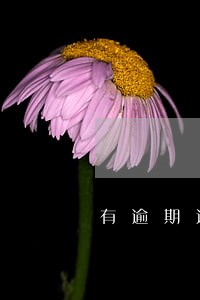 有逾期违约影响留学签证吗 有逾期违约影响留学签证吗