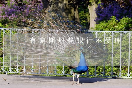 有逾期那些银行不受理 有逾期那些银行不受理