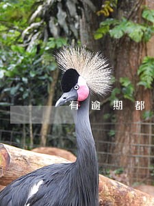 有逾期都没办法借钱了是吧 有逾期都没办法借钱了是吧