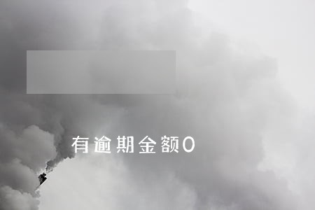有逾期金额0 有逾期金额0