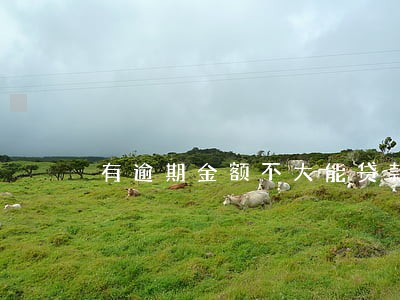 有逾期金额不大能贷款吗 有逾期金额不大能贷款吗