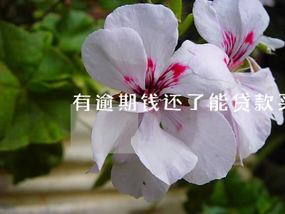 有逾期钱还了能贷款买车不 有逾期钱还了能贷款买车不
