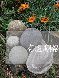 有逾期银行不愿意借款 有逾期银行不愿意借款