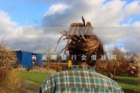 有逾期银行会借钱吗 有逾期银行会借钱吗