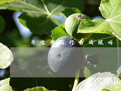 有逾期银行会提醒吗