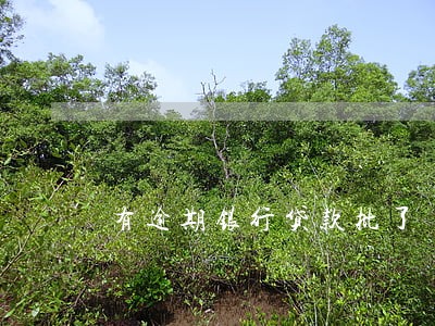 有逾期银行贷款批了