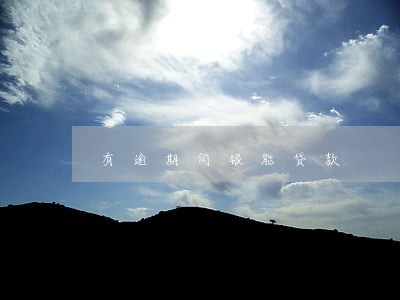 有逾期闪银能贷款