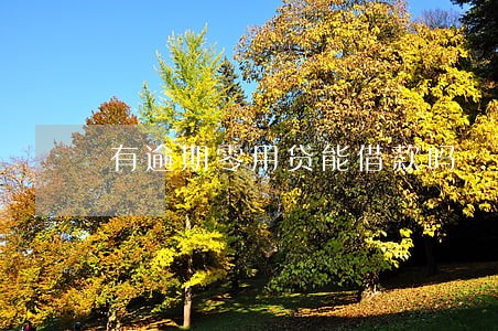 有逾期零用贷能借款吗 有逾期零用贷能借款吗