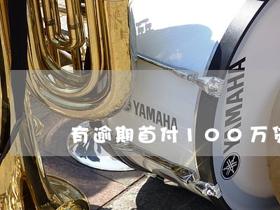 有逾期首付100万贷款 有逾期首付100万贷款