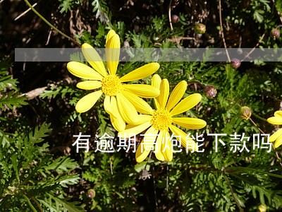 有逾期高炮能下款吗 有逾期高炮能下款吗