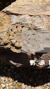 有逾期黑户也能下款的网贷 有逾期黑户也能下款的网贷