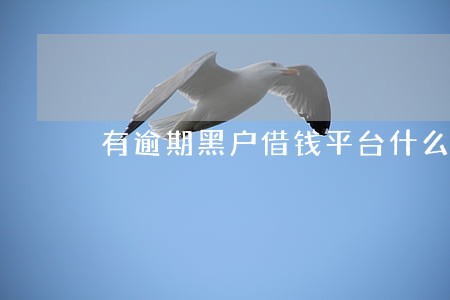 有逾期黑户借钱平台什么最好下款