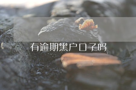 有逾期黑户口子吗 有逾期黑户口子吗