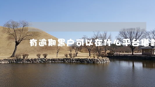 有逾期黑户可以在什么平台借款 有逾期黑户可以在什么平台借款