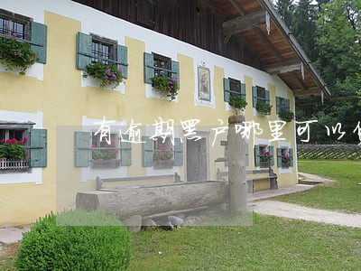 有逾期黑户哪里可以贷款 有逾期黑户哪里可以贷款