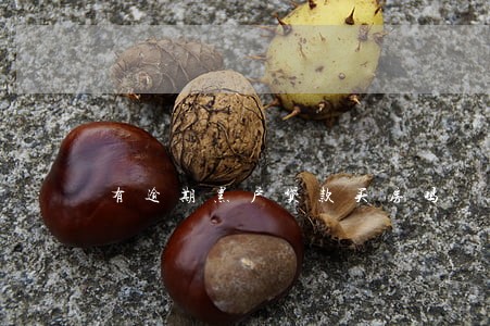 有逾期黑户贷款买房吗 有逾期黑户贷款买房吗