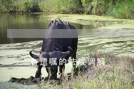 有遗嘱的法院调解 有遗嘱的法院调解