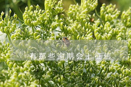 有那些逾期会上征信 有那些逾期会上征信