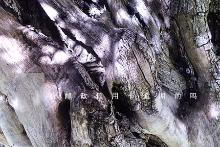 有邮政信用卡逾期的吗 有邮政信用卡逾期的吗
