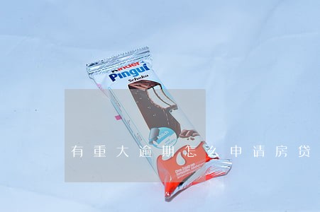 有重大逾期怎么申请房贷 有重大逾期怎么申请房贷