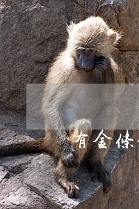 有金条但是征信逾期 有金条但是征信逾期