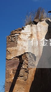 有金额印花税逾期申报怎么办 有金额印花税逾期申报怎么办